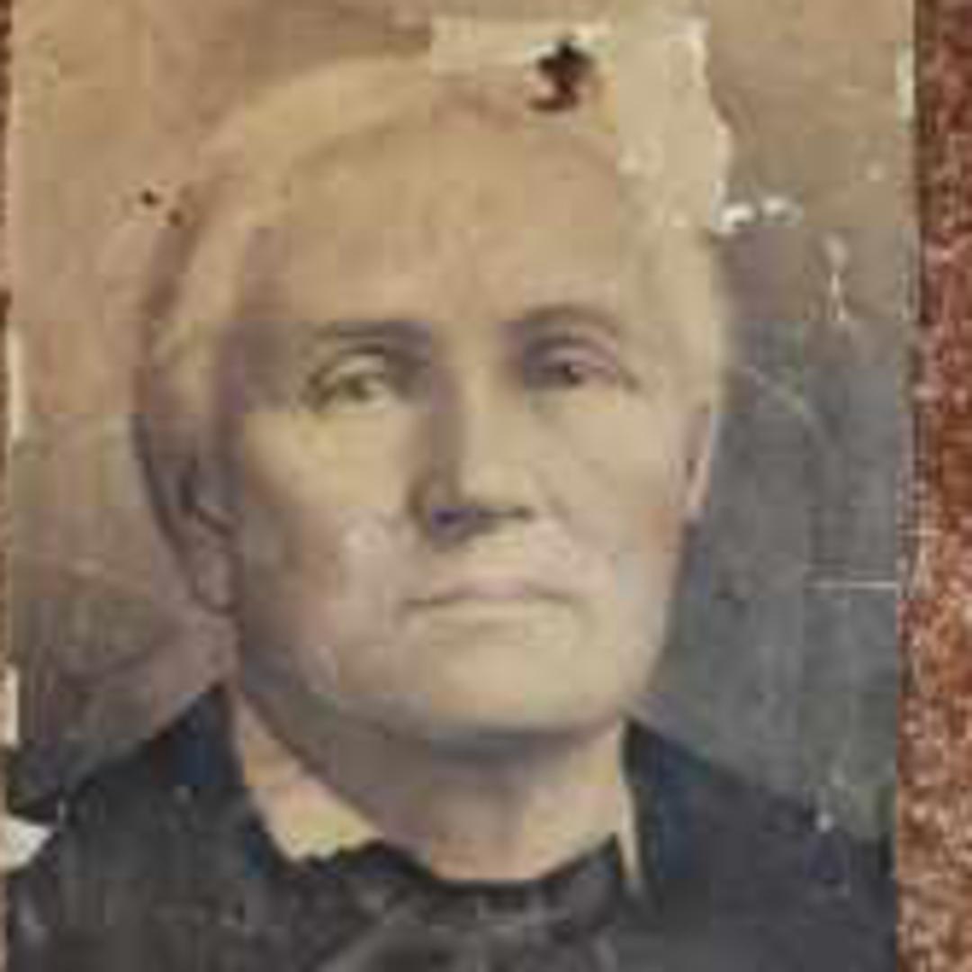 Nancy Jane Hood (1845 - 1908) Profile